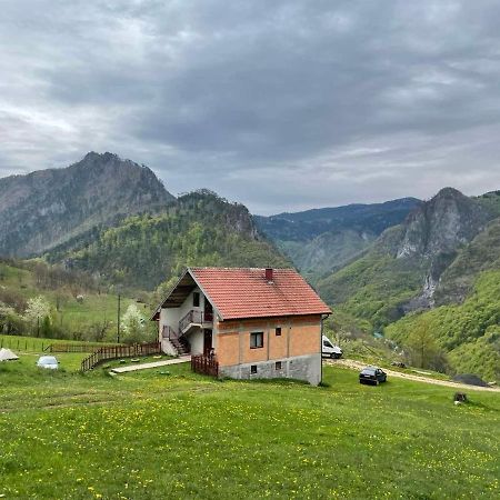 فندق Family Owned Self Sufficient Eco Farm Tara بلييفليا المظهر الخارجي الصورة
