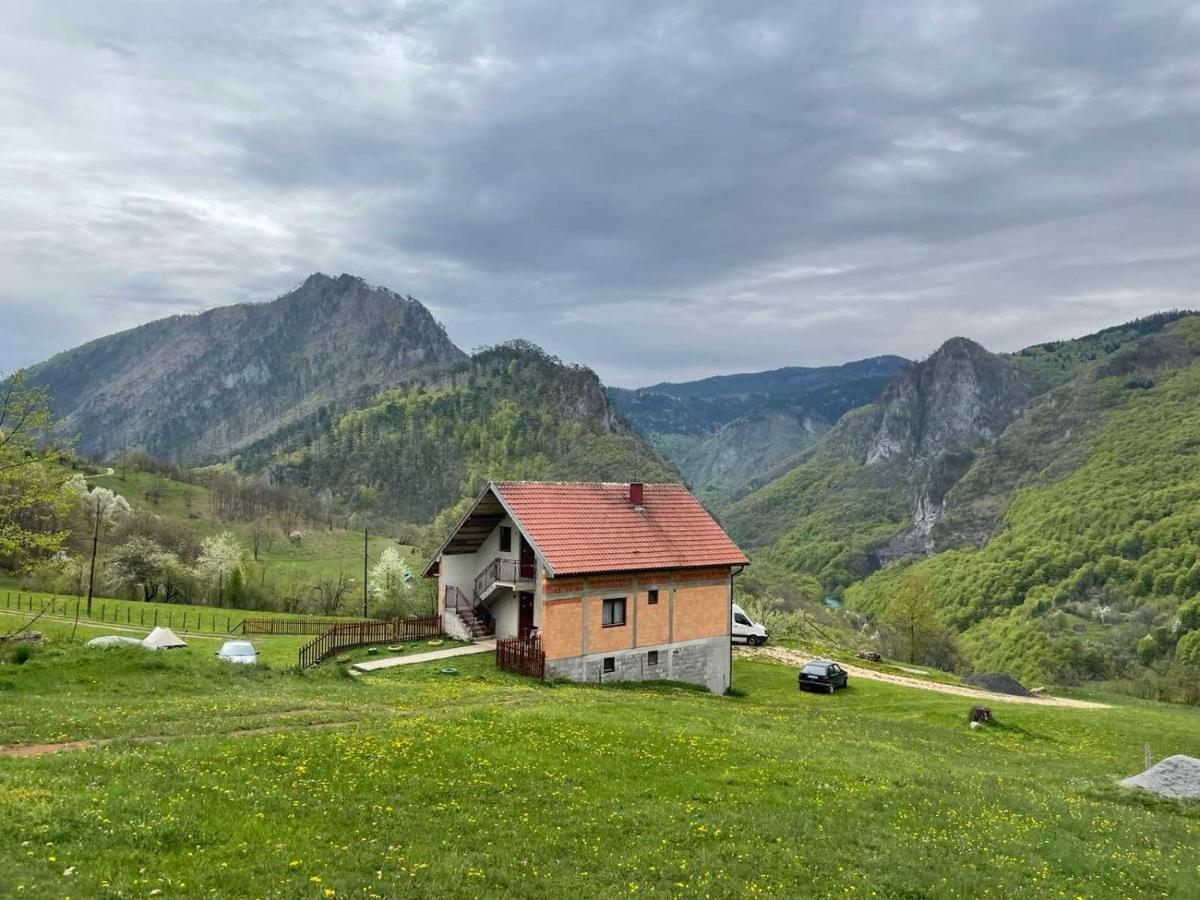فندق Family Owned Self Sufficient Eco Farm Tara بلييفليا المظهر الخارجي الصورة