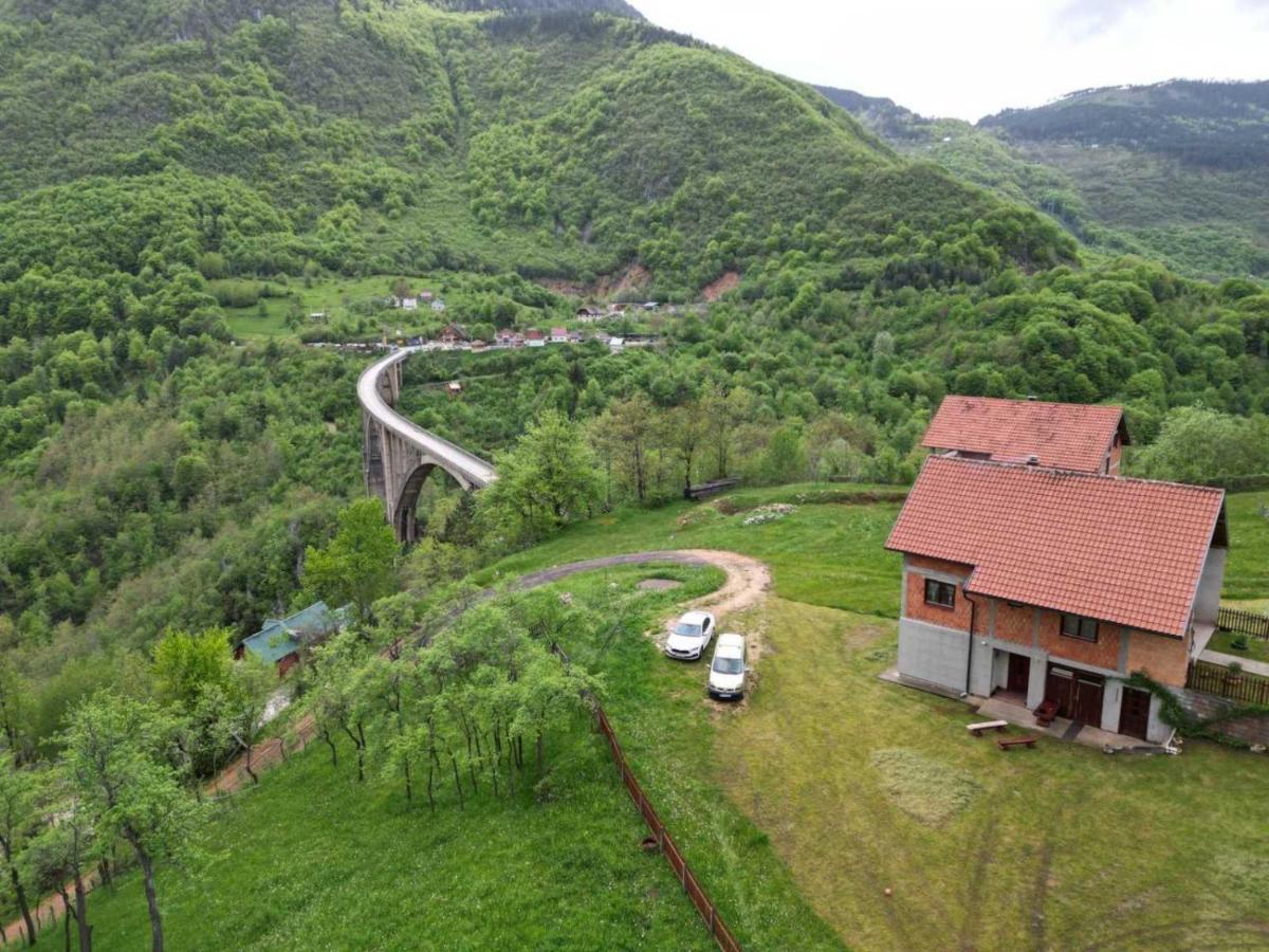 فندق Family Owned Self Sufficient Eco Farm Tara بلييفليا المظهر الخارجي الصورة