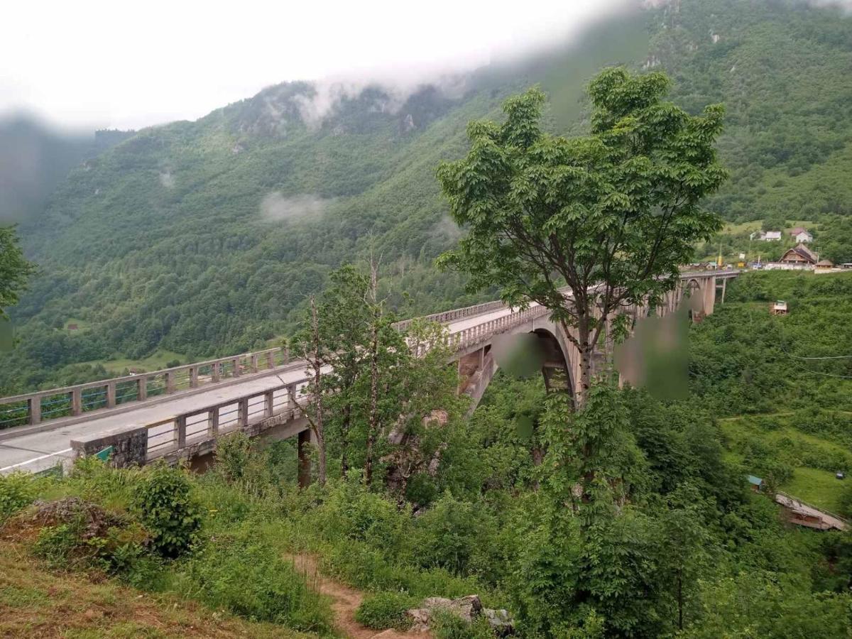 فندق Family Owned Self Sufficient Eco Farm Tara بلييفليا المظهر الخارجي الصورة