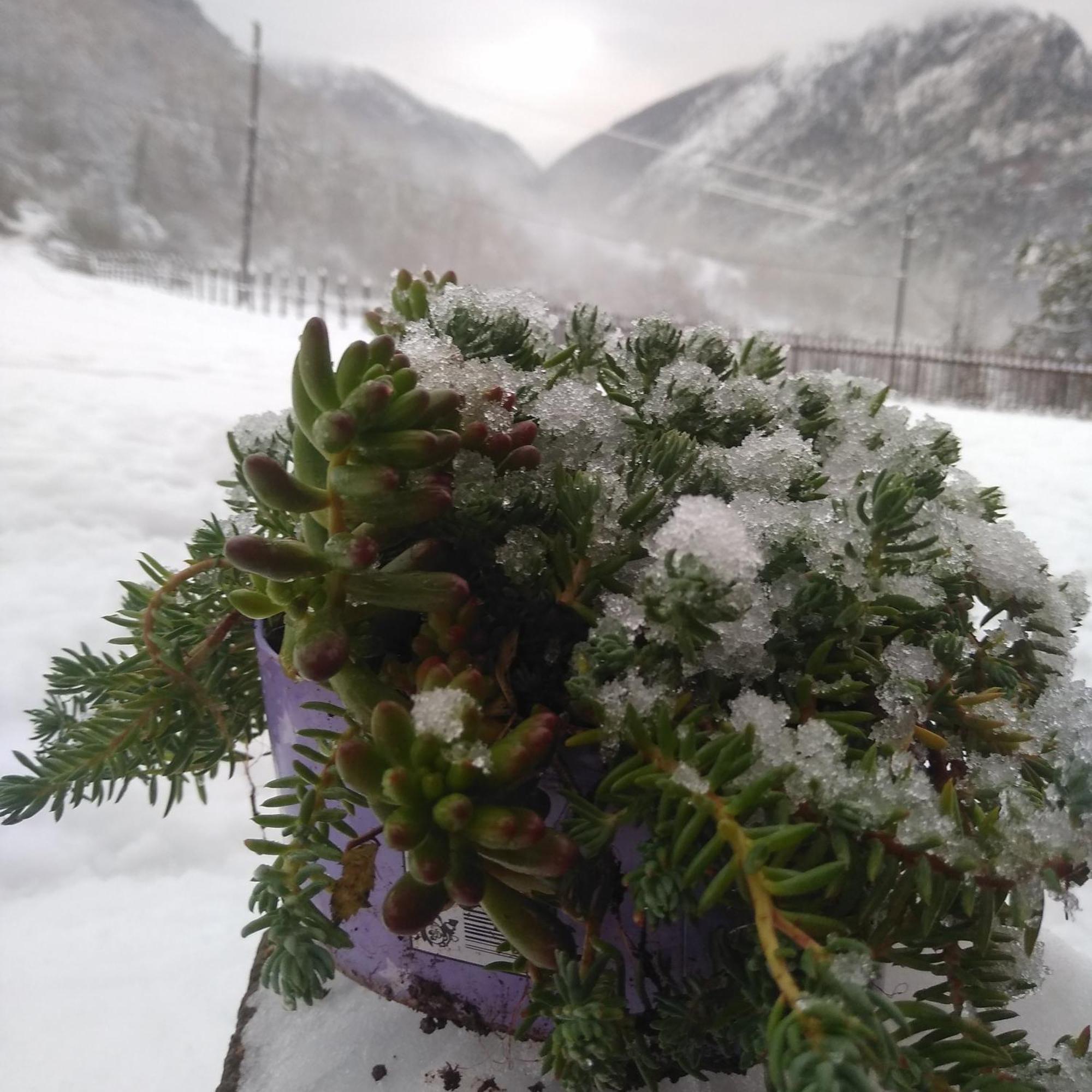 فندق Family Owned Self Sufficient Eco Farm Tara بلييفليا المظهر الخارجي الصورة