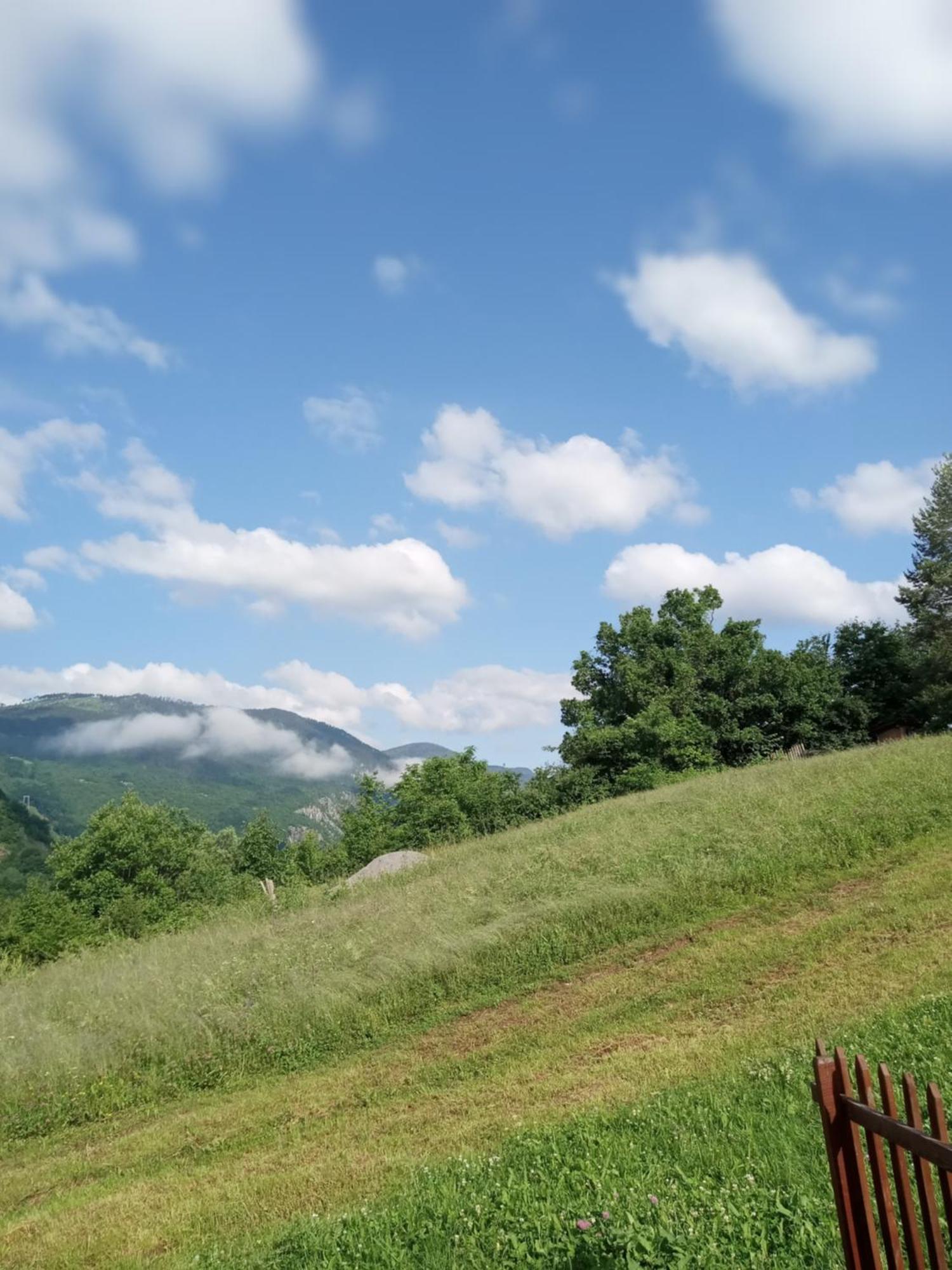 فندق Family Owned Self Sufficient Eco Farm Tara بلييفليا المظهر الخارجي الصورة
