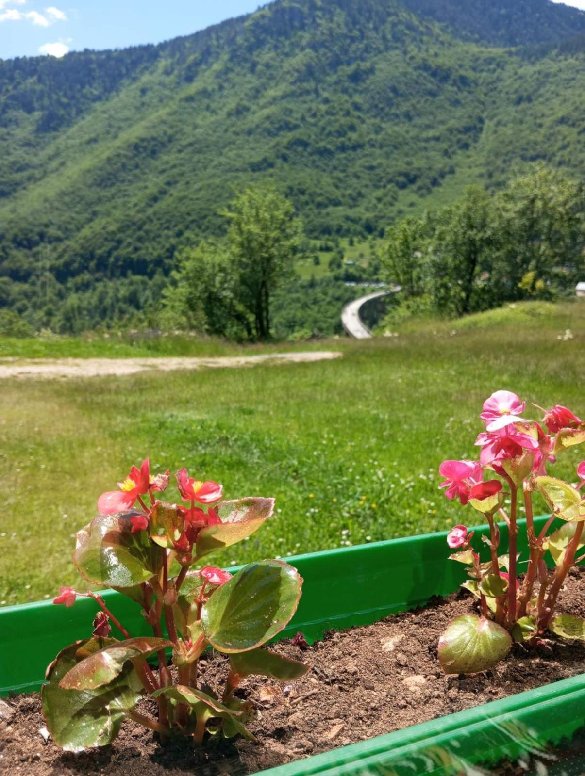 فندق Family Owned Self Sufficient Eco Farm Tara بلييفليا المظهر الخارجي الصورة