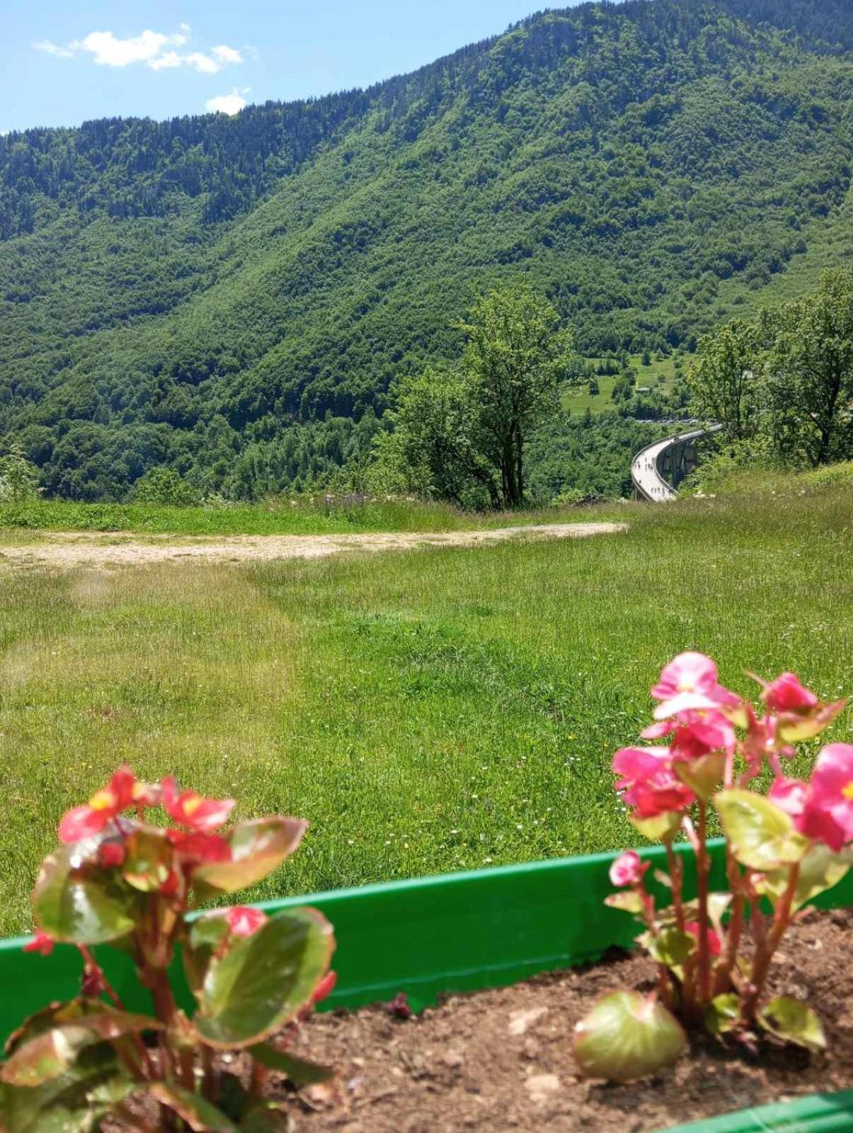 فندق Family Owned Self Sufficient Eco Farm Tara بلييفليا المظهر الخارجي الصورة